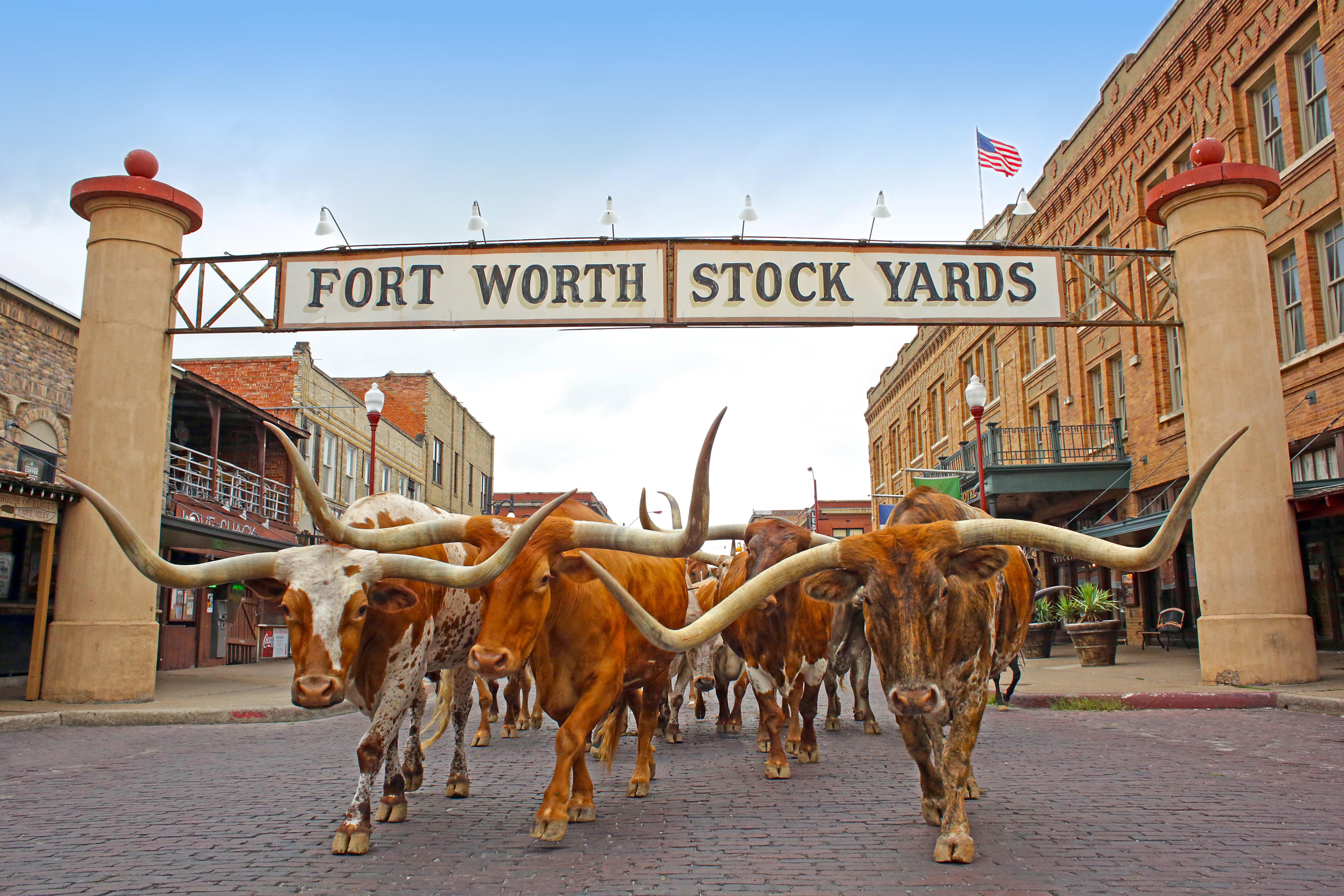 Holiday Inn Express Hotel And Suites Fort Worth/I-20 Экстерьер фото
